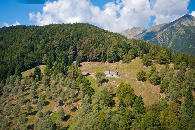 Giornata di Pulizia dei Pascoli e Inaugurazione dell’Alpe della Monda – Sabato 5 luglio 2025