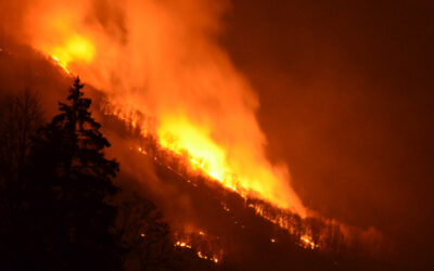Divieto assoluto di accendere fuochi all’aperto