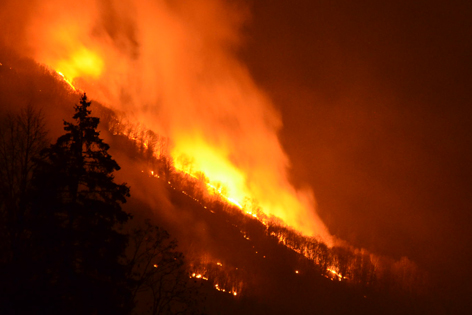 Divieto assoluto di accendere fuochi all’aperto