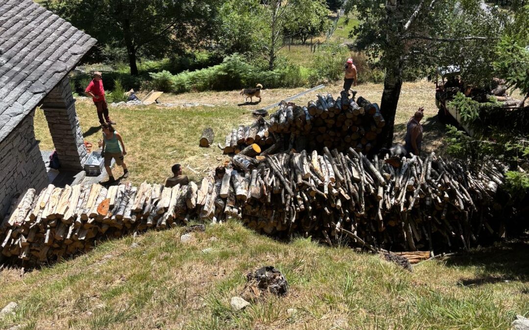 Una giornata di pulizia dei pascoli