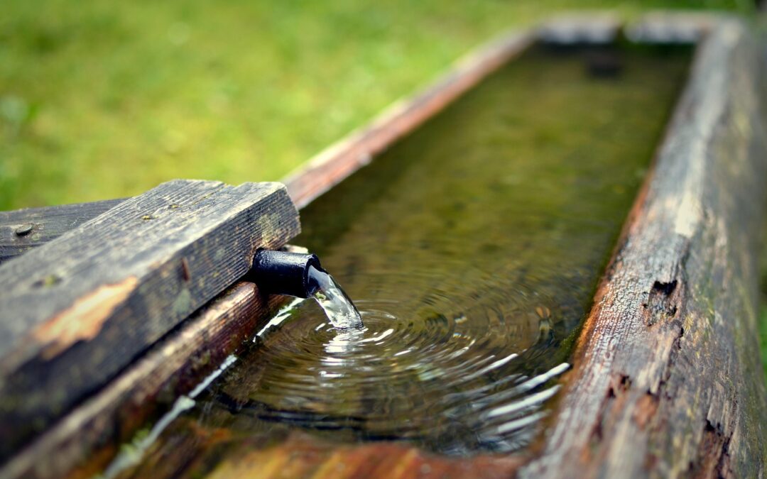 Avviso importante: uso parsimonioso dell’acqua potabile